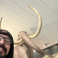 Fotos von Edgardo Salgado Bonilla