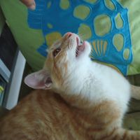 Joelle Alliot's Photo