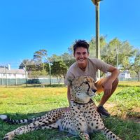 Lan Falenti Koncilija's Photo