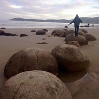 Patrick Koch's Photo