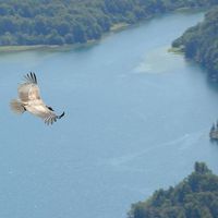 Fotos von Camilo rotela