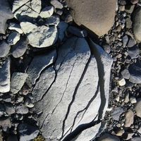 Marie Lance的照片