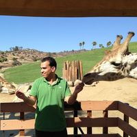 Raid Hassiba's Photo