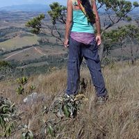 Graci Guaste's Photo