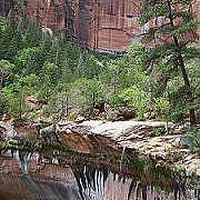 Tyler James的照片