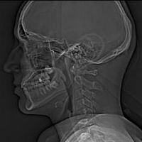 Julien Grenier's Photo