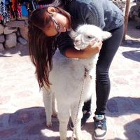 Pierina Vasquez的照片