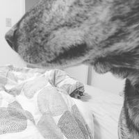 Kevin Harris's Photo