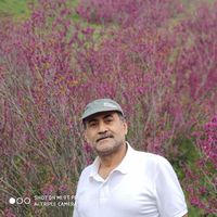 Javad Khezr's Photo