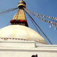 Chika Pollux's Photo