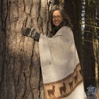 Crystal ForestExplorer的照片