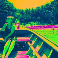 Shauna Kelly's Photo