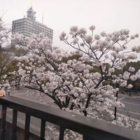 hakima hakima的照片