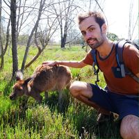 Julian Trouillon的照片