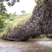 shamsi rashidi's Photo