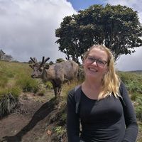 Фотографии пользователя Jaël Vo