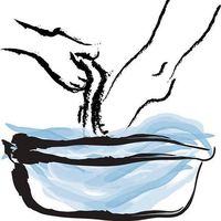 Fotos de Angetula Zega