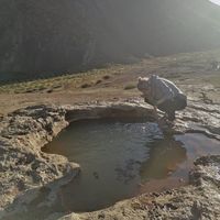 Fotos von Bahareh Azad