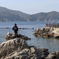 Alyssa Gervasi-Bell的照片