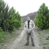 babak moghaddam的照片