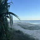 Hangout @Sunny Coast's picture