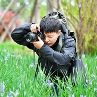 Fotos de Jerry Tsang