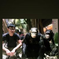 Fotos de Chin To Leung