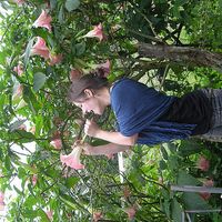 Lisa Caluori's Photo