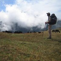 Maayan Rahamim's Photo