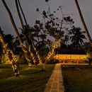 Christmas Celebration 2025 At Camp Riva's picture