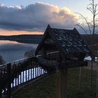 Matthias Bifolchi的照片