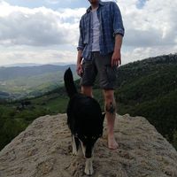 Denis Bogdan的照片