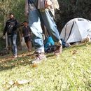 Foto de Camping En Sorata El Vergel