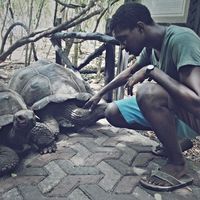 Dimitri Kwenda的照片