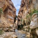 2 Days Of Canyon Hiking From Amman 's picture