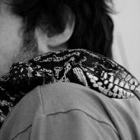 Fotos von Federico Losio