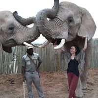 Fotos de Sophie Hote