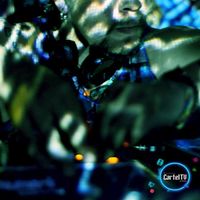 Alexander Bustamante的照片