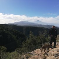 David Martin's Photo