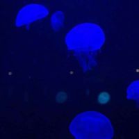 Blandoo PAVY's Photo