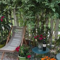 Isabelle Thouard's Photo