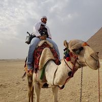 Omar Alhejeli's Photo