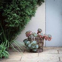 Margot van Ryneveld's Photo