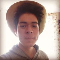 Francisco Ibrahim的照片