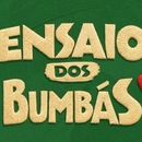 Ensaio dos Bumbás's picture
