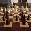 Chess Games In Herceg Novi的照片