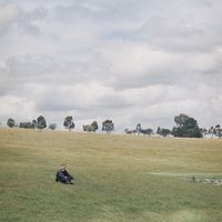 Matt Presutto's Photo