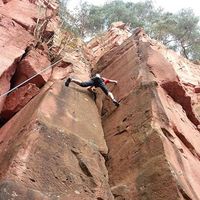 Steffen Mayer's Photo