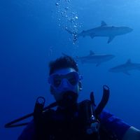 Michael Zehler's Photo