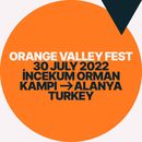 Orange  Valley  Fest's picture